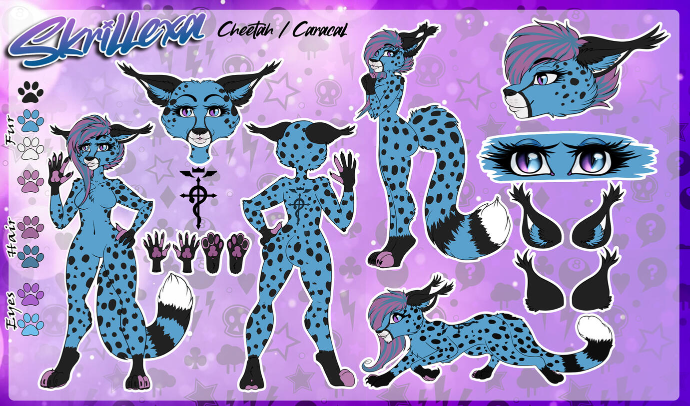 reference sheet $ 15 usd